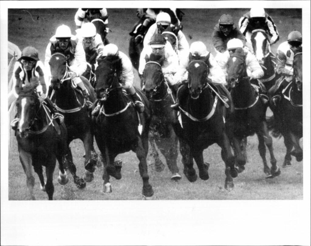 Yorkton Fairgrounds Horse Racing Grandstand