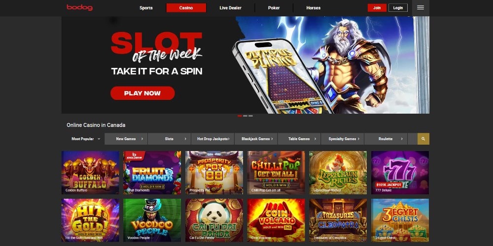 Bodog Interface